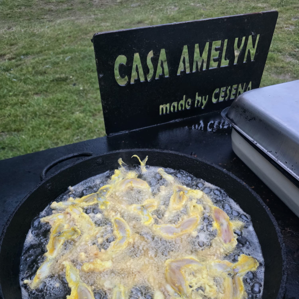 cazare Casa Amelyn poza